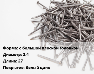 Гвоздь с большой плоской головкой 2.4х27 белый цинк, чертеж 7811-7102, кг цена от 121.89 ₼ / кг, где купить, условия доставки в Баку и Бакинская области